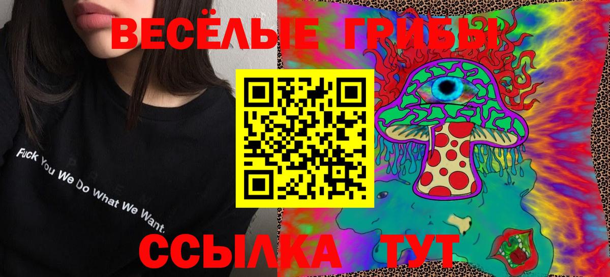 Галлюциногенные грибы GOLDEN TEACHER Похвистнево