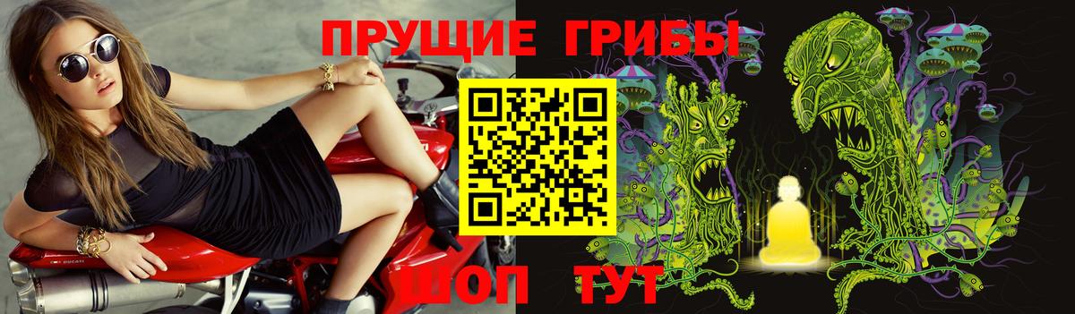 Псилоцибиновые грибы Psilocybine cubensis  Псилоцибиновые грибы мицелий  Похвистнево  Вход с VPN 